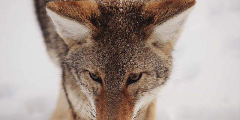 Unawatuna60终极旅行指南：住宿攻略与沉浸式体验