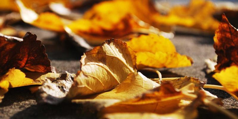 Unawatuna74：坐拥无敌海景的斯里兰卡度假天堂