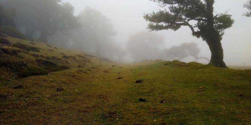 Unawatuna75：斯里兰卡乌纳瓦图纳海滩旁的精品住宿体验