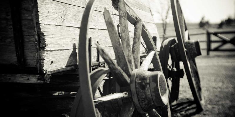 Unawatuna85：斯里兰卡乌纳瓦图纳的隐秘天堂，解锁完美海滨度假体验