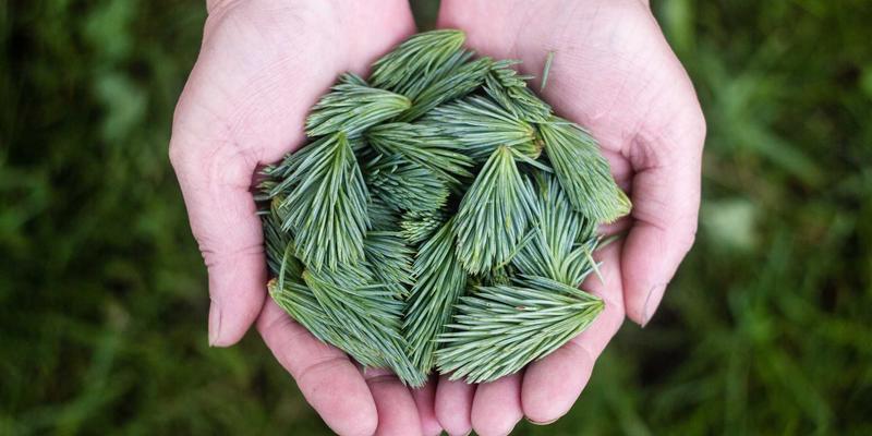 Unawatuna冲浪后文化深度探索：从海滩酒吧到背包客天堂的住宿与社交全攻略