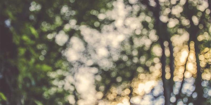 Unawatuna旅行指南：通过特色烹饪课程沉浸式体验斯里兰卡美食与文化