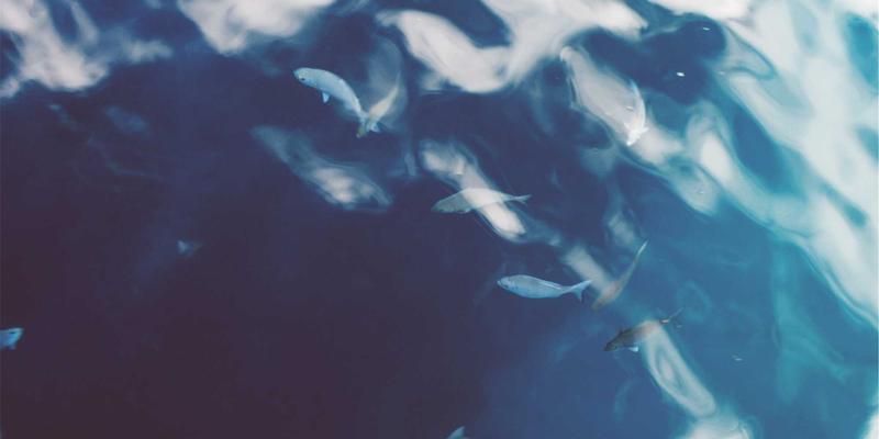 Unawatuna浪漫之旅：精选蜜月度假村、日落晚餐与私人海滩体验全攻略