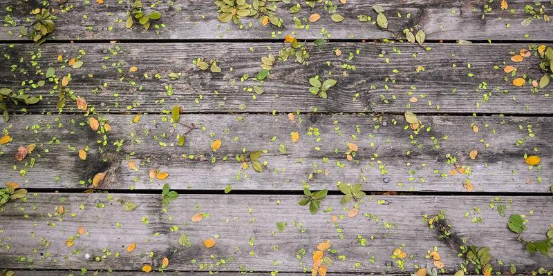 Unawatuna终极指南:住宿、酒店与旅游体验全解析