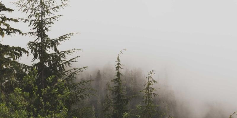 Unawatuna终极旅行指南：斯里兰卡明珠的海滩、酒店与秘境探索