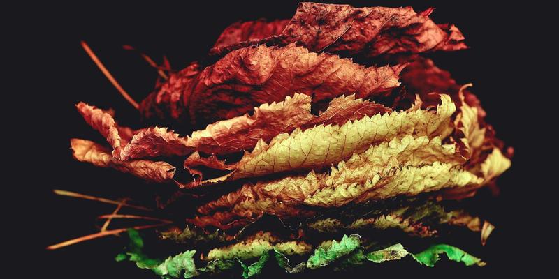 Unawatuna终极旅行指南:海景、住宿与不可错过的锡兰风情