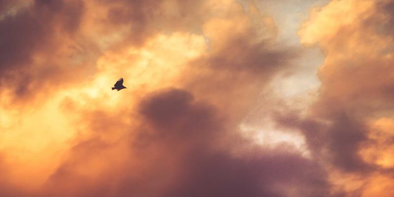 Unawatuna终极评测：海滩度假天堂与精选酒店指南